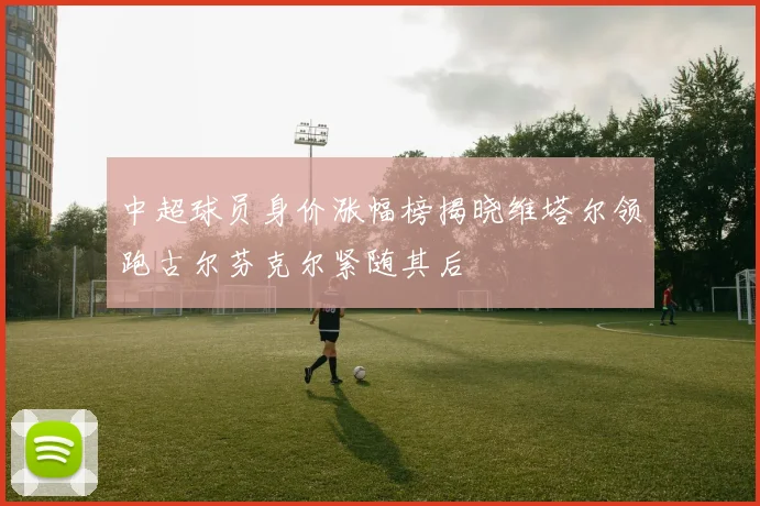 中超球员身价涨幅榜揭晓维塔尔领跑古尔芬克尔紧随其后